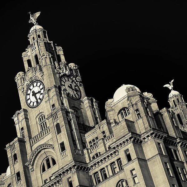 Square crop of the Royal Liver Building
