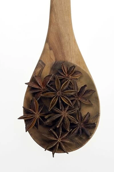 Star Anise (Illicium verum) on an olive wood spoon