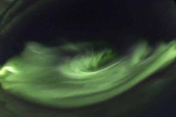 Swirling northern polar lights, rare overhead display, Aurora Borealis, green, near Whitehorse, Yukon Territory, Canada