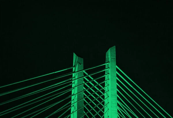 Tilikum Crossing Bridge at Night