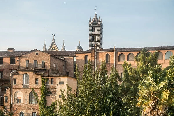 Townscape, Siena, Italy