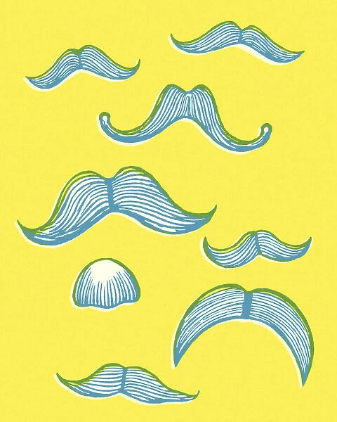 Variety of Mustaches