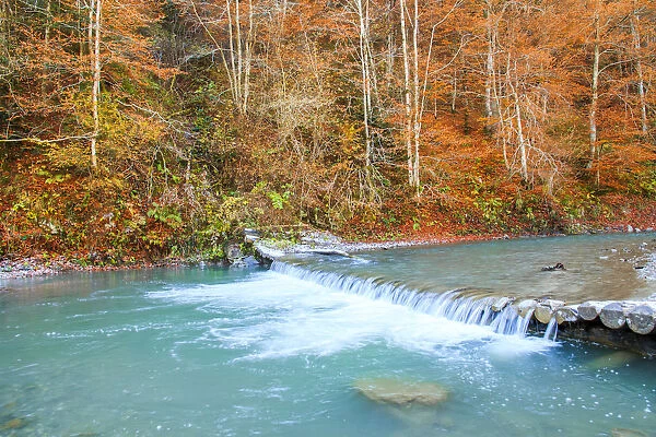 Vaser River in Carpathian forest, Carpathian Mountains, Viseu de Sus, Romania