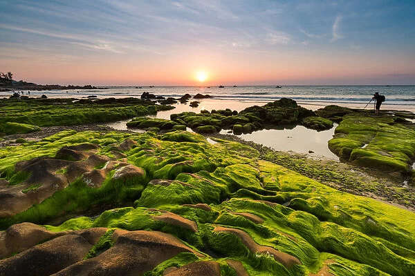 Vietnam beach, Moss, Rock, Sunrise