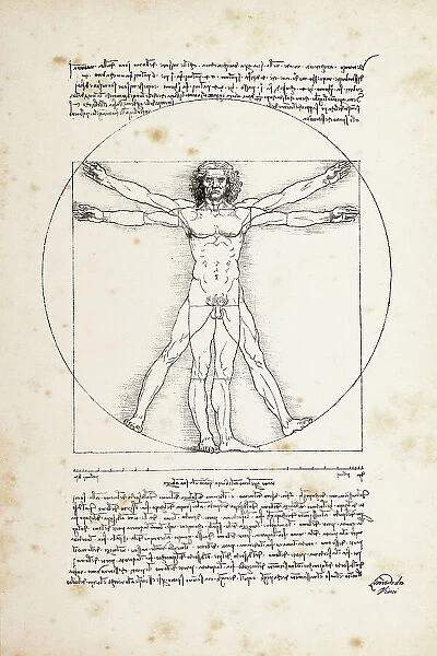 Vitruvian man painted by Leonardo da Vinci from 1492