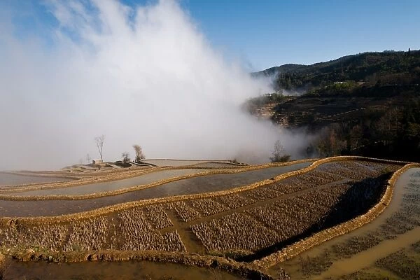 Yuanyang rice terrace, Yunnan, China