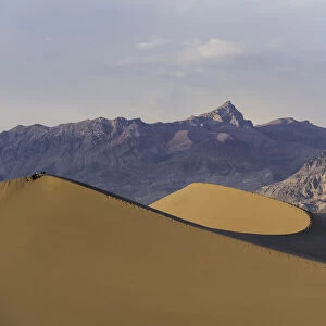 Afternoon Sand Dunes