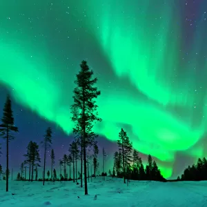 Aurora Borealis Northern Lights Sweden