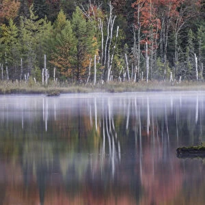 Autumn colors and mist reflecting on Council Lake at sunrise, Hiawatha National Forest, Michigan, USA