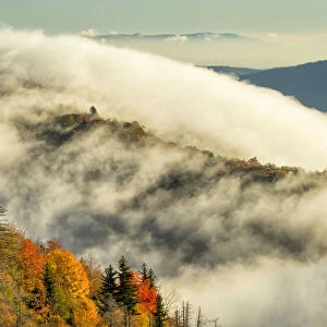 Autumn colors and mist at sunrise, Blue Ridge Mountains from Blue Ridge Parkway, North Carolina, USA