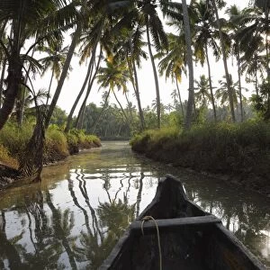 Backwater tour on a tributary of the Poovar River, Puvar, Kerala, South India, India, Asia