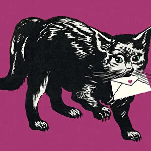 Black Cat Holding an Envelope