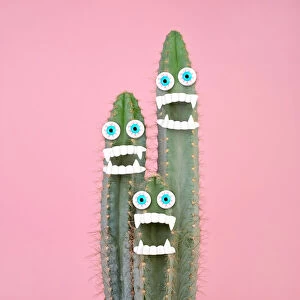 Photographers Photographic Print Collection:  Juj Winn's Bright, colourful, quirky creative collection