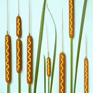 Cattails decorated with mustard to look like corn dogs