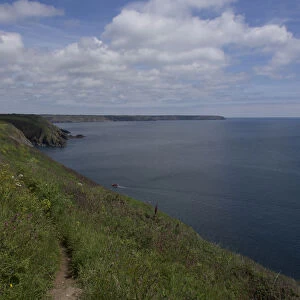 Coast, South-West Coast Path in Cornwall, Great Britain