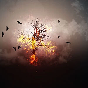 Creative burning tree with flying birds