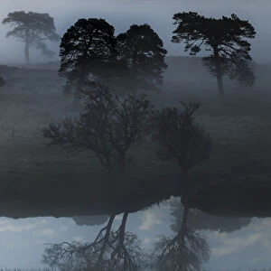 Early morning fog at Loch Arkaig, Fort William, Highlands, Scotland, United Kingdom