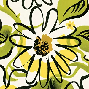 Floral Pattern Art Framed Print Collection: Flower Pattern Illustrations