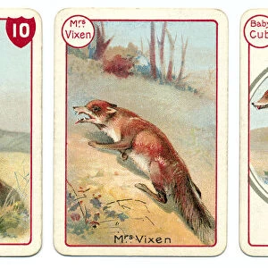 Three fox playing cards Victorian animal families game