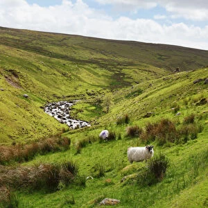 Glendun valley near Cushendun, Glens of Antrim, County Antrim, Northern Ireland, United Kingdom, Europe