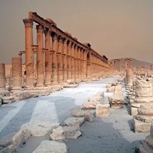 Great Colonnade Palmyra Syria