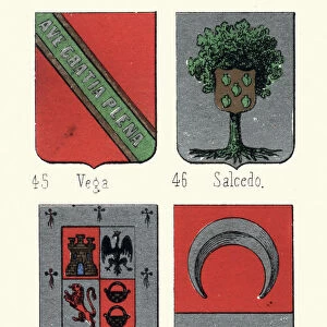 Heraldry Coat of Arms, Vega, Salcedo, Manriquez, Luna
