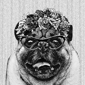 Hipster Pug Dog Illustration With Floral Crown And Glasses