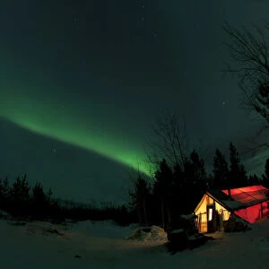 Illuminated, lit wall tent, cabin with swirling northern polar lights, Aurora Borealis, green, near Whitehorse, Yukon Territory, Canada
