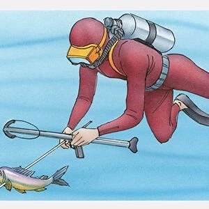 Illustration of diver spear fishing underwater