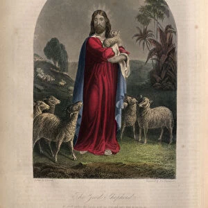 Jesus Christ as the Good Shepherd