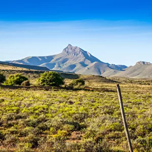 Karoo landscape, with mountains and unique fauna. Kompasberg mountain is in the background