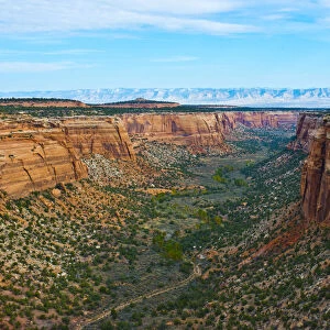 Landscape of Ute Canyon, Colorado National Monument, Vistas along Rim Rock Drive, Grand Junction, Fruita, Colorado, USA
