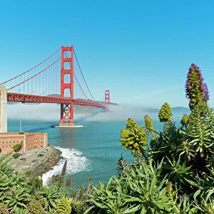 World Famous Bridges Framed Print Collection: Golden Gate Suspension Bridge