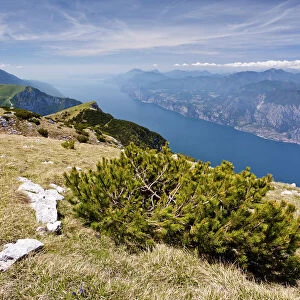 On Monte Altissimo above Nago, overlooking Lake Garda, with Monte Baldo at the rear, Trentino, Italy, Europe