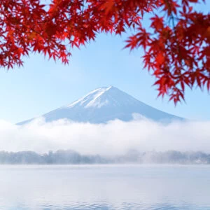 Mt Fuji in Iconic autumn view at morning from Lake Kawaguchiko, Fujikawaguchiko, Yamanashi, Japan