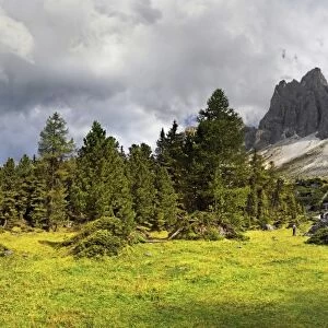 Panoramic view on Adolf-Munkel-Weg trail, Geisler massif, Villnoesstal valley, Geisler group, Dolomites, province of Bolzano-Bozen, Italy, Europe