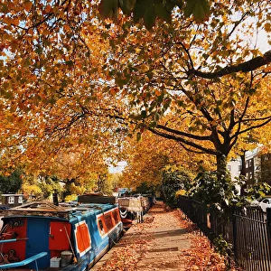 UK Travel Destinations Collection: London Canals
