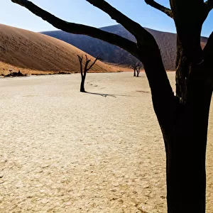 Amazing Deserts Framed Print Collection: Namibia's beautiful Dead Vlei