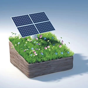Piece of land with a solar panel and a flowering meadow, illustration