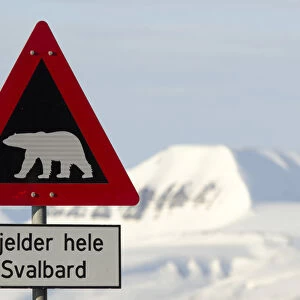 Polar bear warning sign, Longyearbyen, Spitsbergen Island, Svalbard Archipelago, Svalbard and Jan Mayen, Norway