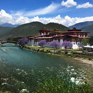 Punakha Dzong and Mochho River