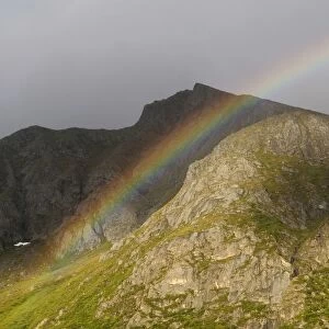 Rainbow, Lofoten, Northern Norway, Norway, Scandinavia, Europe