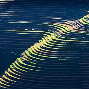 Rice terrace paddies in North Vietnam