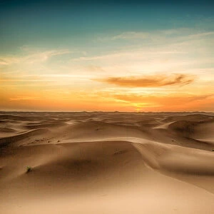 Sahara Desert Twilight
