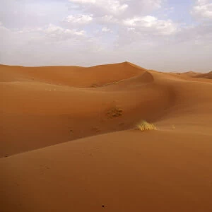 Sand dunes of the Erg Chebbi Desert, near Merzouga, Morocco, North Africa, Africa