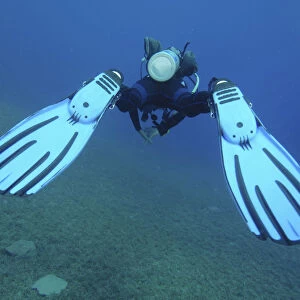 Scuba diver swimming above seabed, rear view