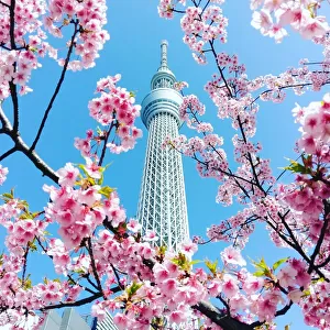 Travel Destinations Jigsaw Puzzle Collection: Japan, Land Of The Rising Sun