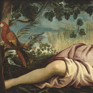 Summer, Jacopo Tintoretto