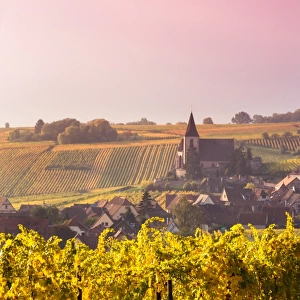 Sunrise over the vineyards in autumn, Alsace, France