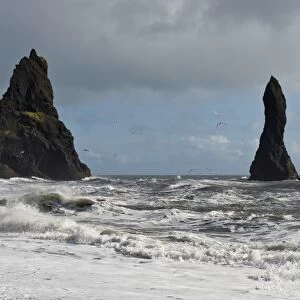 Surf and seagulls, lava beach of Reynisfjara, Reynisdrangar Pinnacles, near Vik i Myrdal, South Coast, Iceland